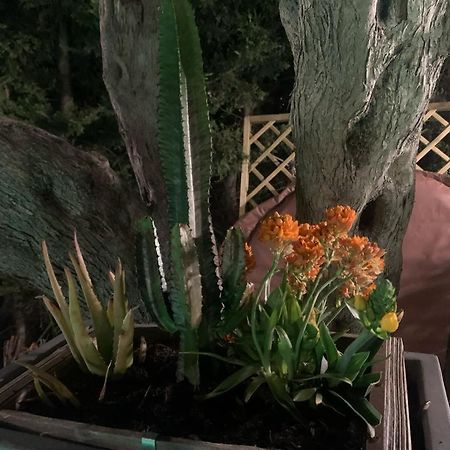 B&B Villa Del Sole Relais 아그리젠토 외부 사진